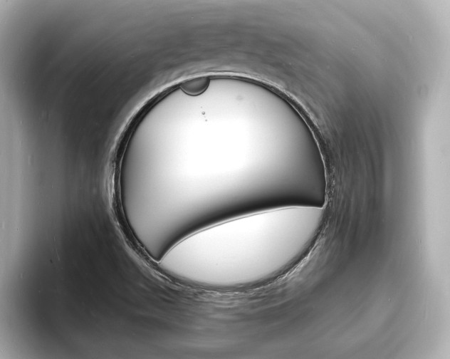 X0000093601511200710150948