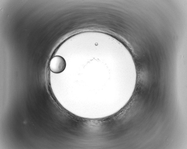 X0000093601514200710150948