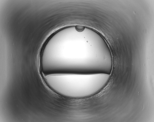 X0000093601515200710150948