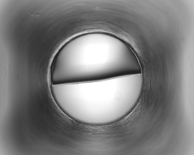 X0000093601516200710150948