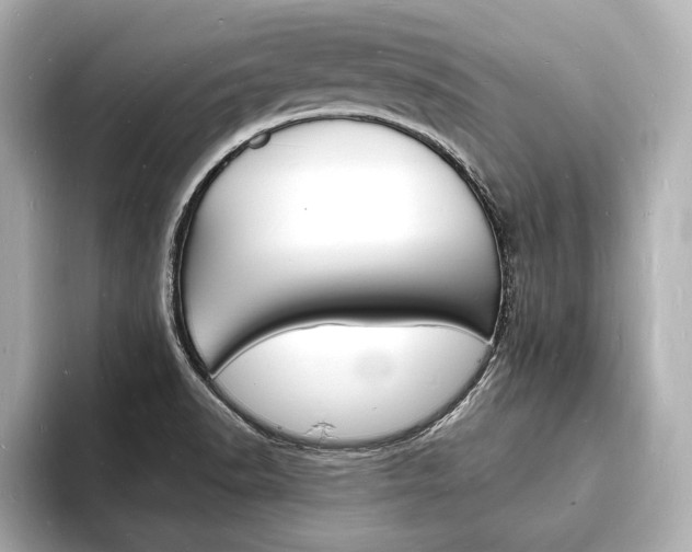 X0000093601518200710150948