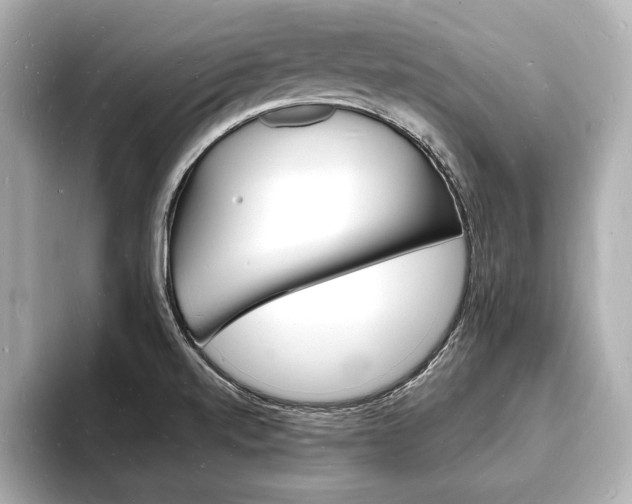 X0000093601520200710150948