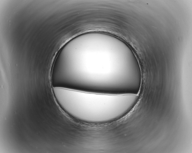 X0000093601521200710150948