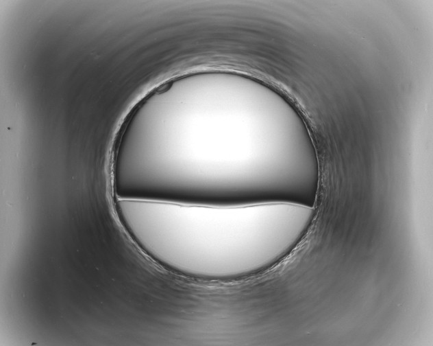 X0000093601522200710150948
