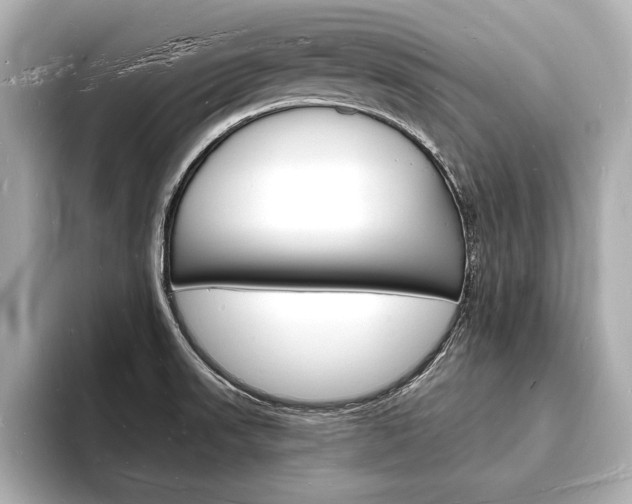 X0000093601523200710150948
