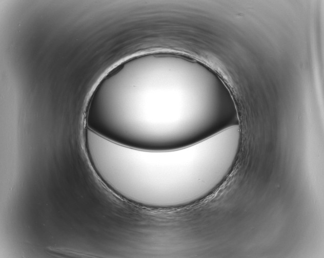 X0000093601524200710150948