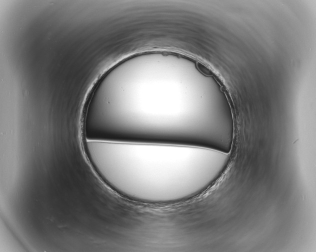 X0000093601525200710150948