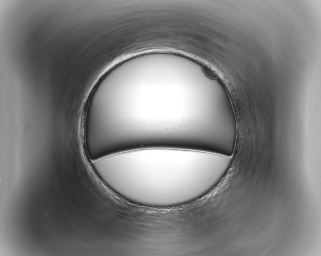 X0000093601526200710150948