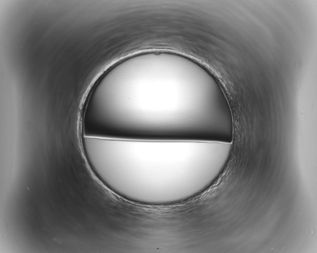 X0000093601527200710150948