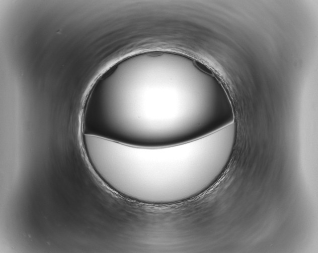 X0000093601528200710150948