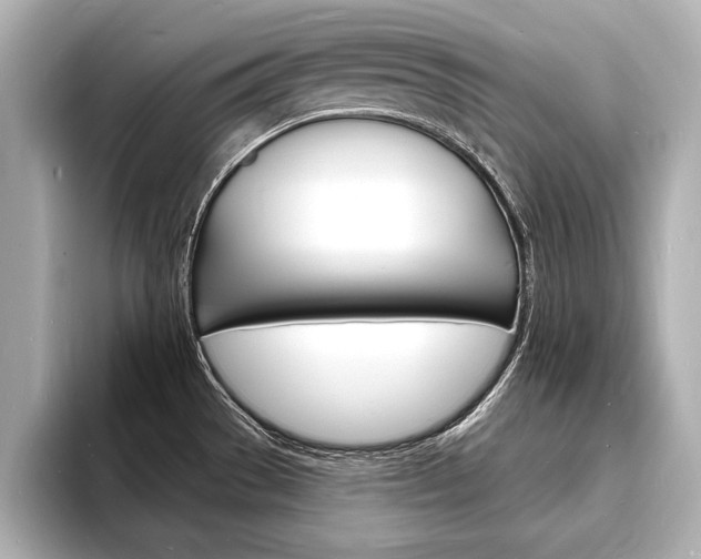 X0000093601529200710150948