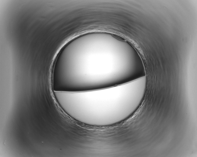 X0000093601530200710150948
