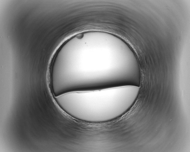X0000093601531200710150948