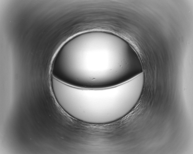 X0000093601532200710150948
