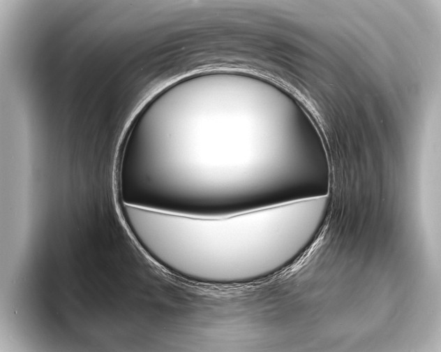 X0000093601533200710150948
