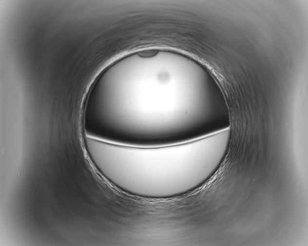 X0000093601534200710150948