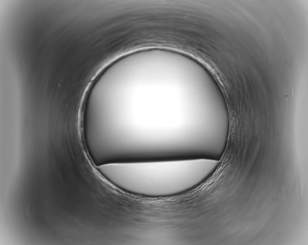 X0000093601535200710150948