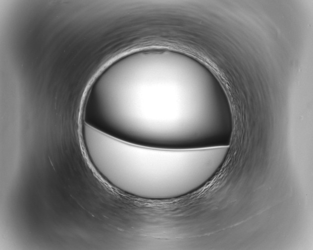 X0000093601536200710150948