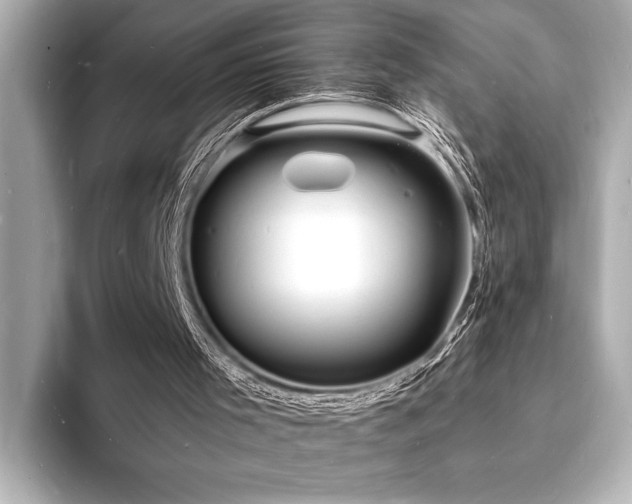 X0000093600001200710151229