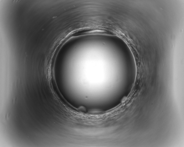 X0000093600002200710151229