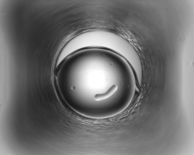 X0000093600003200710151229