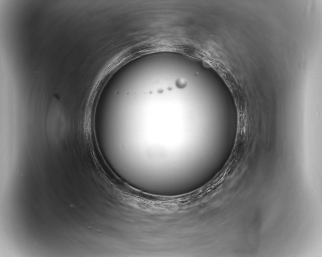 X0000093600004200710151229