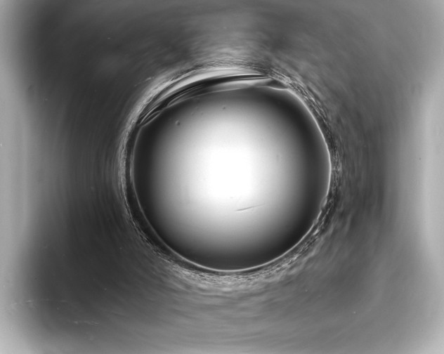 X0000093600006200710151229