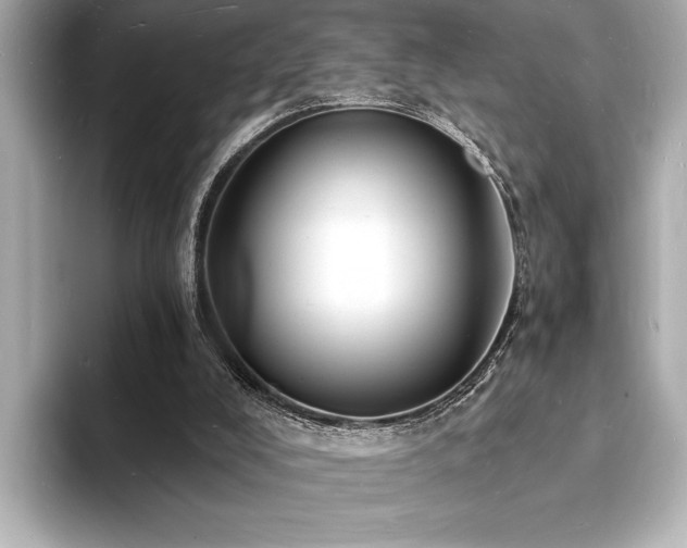 X0000093600008200710151229