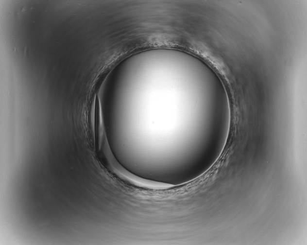 X0000093600009200710151229