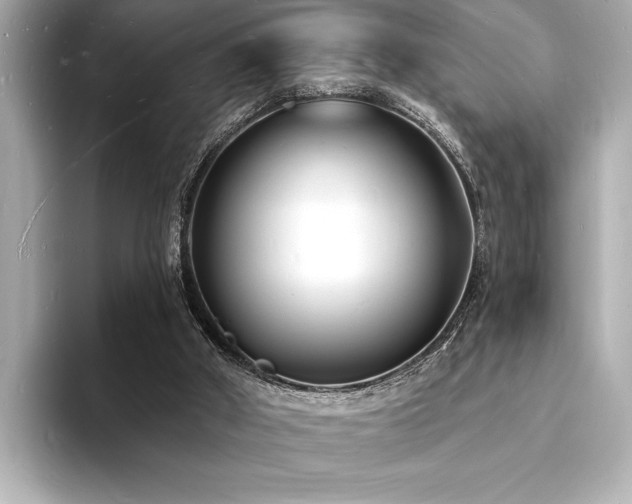 X0000093600010200710151229