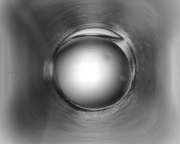 X0000093600013200710151229