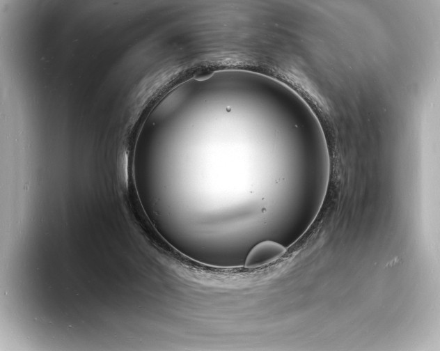 X0000093600014200710151229