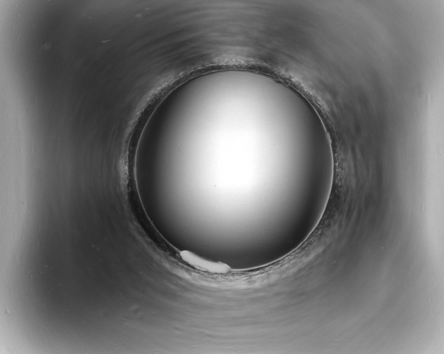 X0000093600015200710151229