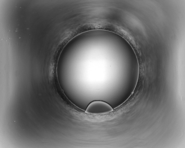 X0000093600018200710151229