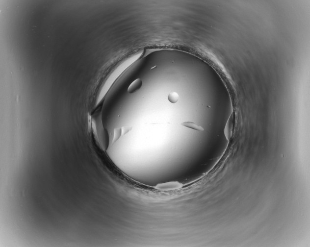 X0000093600019200710151229