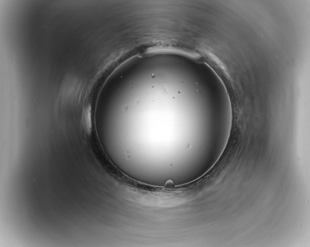 X0000093600020200710151229