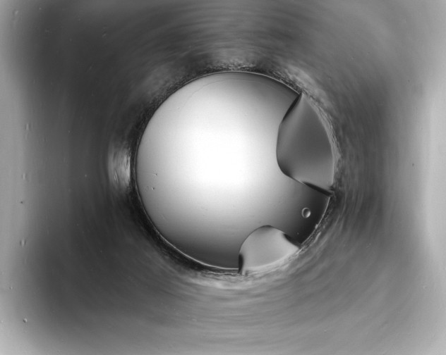 X0000093600021200710151229