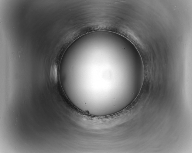 X0000093600022200710151229