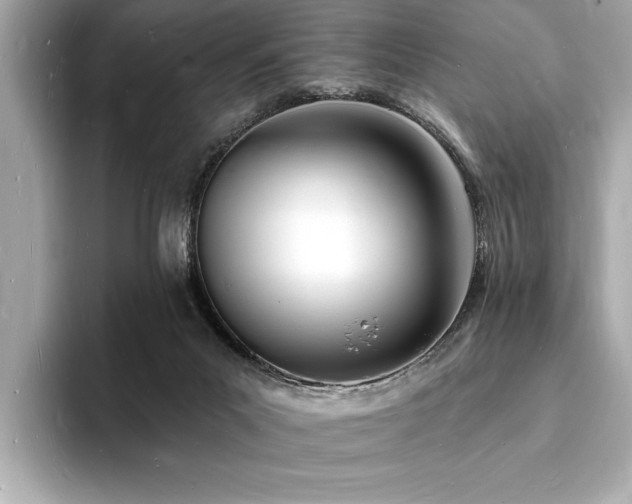 X0000093600023200710151229