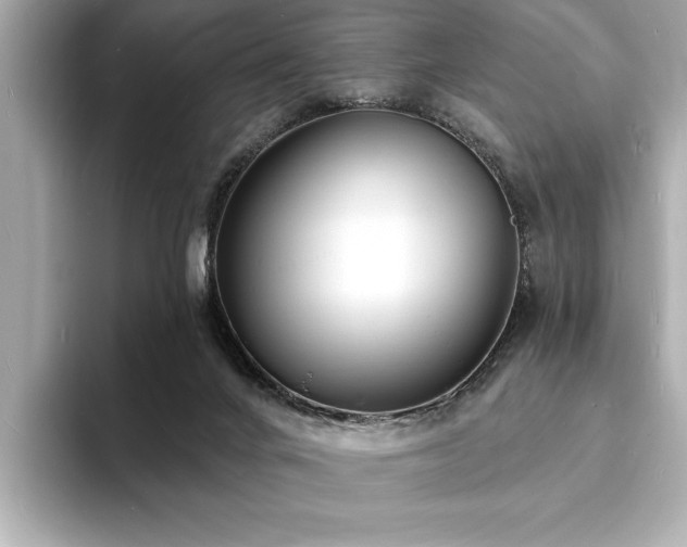 X0000093600024200710151229