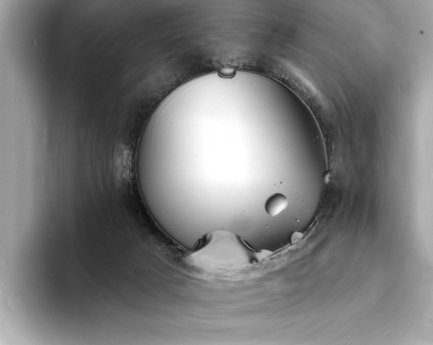 X0000093600025200710151229