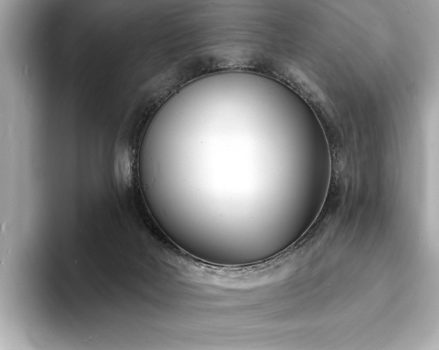 X0000093600026200710151229