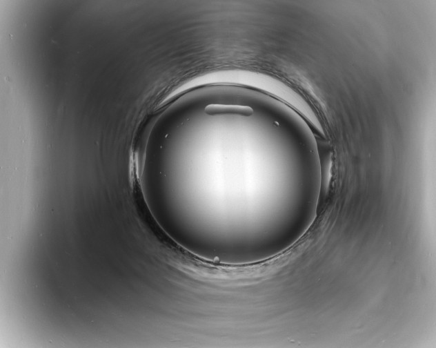 X0000093600027200710151229