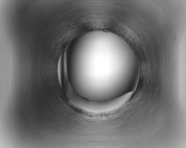 X0000093600029200710151229