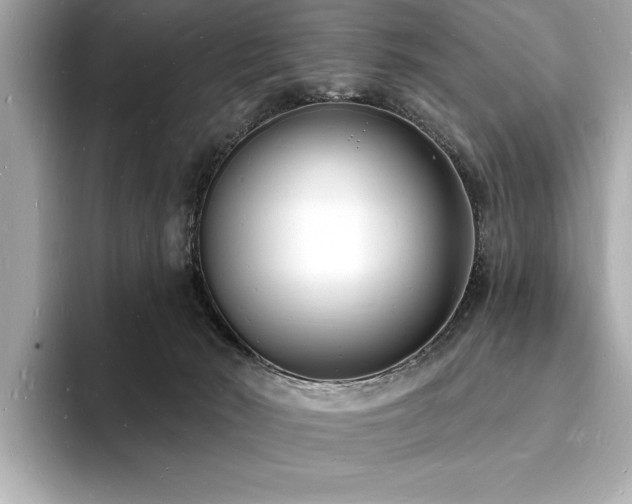 X0000093600030200710151229