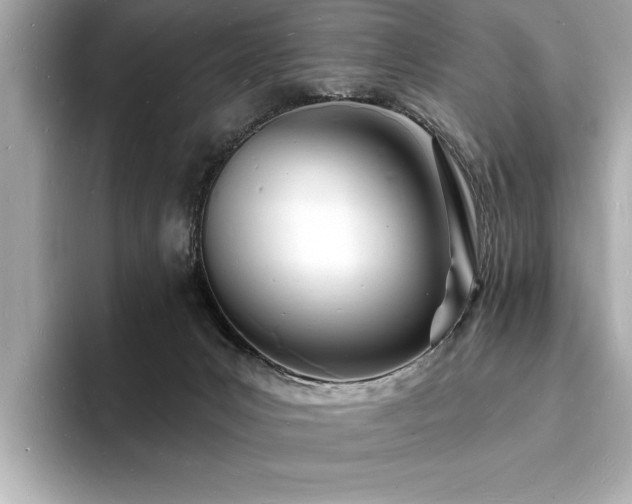 X0000093600031200710151229