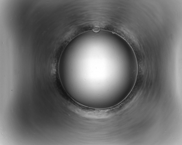 X0000093600032200710151229