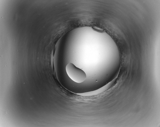 X0000093600033200710151229