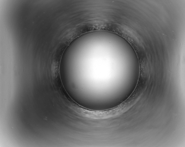 X0000093600034200710151229