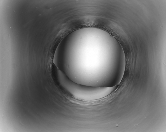 X0000093600035200710151229